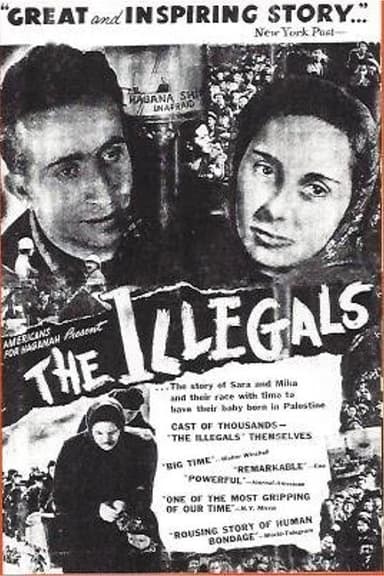 The Illegals poster