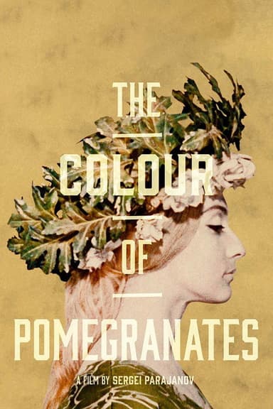 The Color of Pomegranates poster