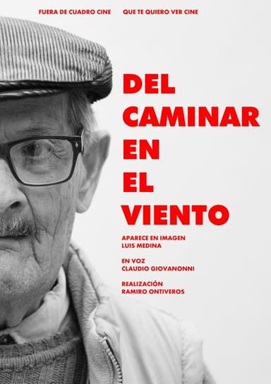 Del caminar en el viento poster