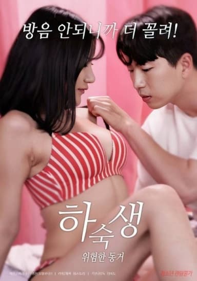 Boarder: Dangerous Cohabitation poster