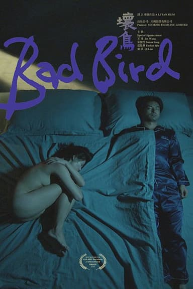 Bad Bird poster