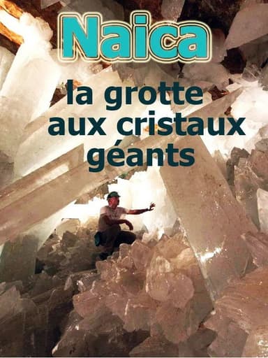 Naïca: La grotte aux cristaux géants poster
