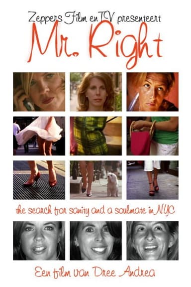 Mr. Right poster