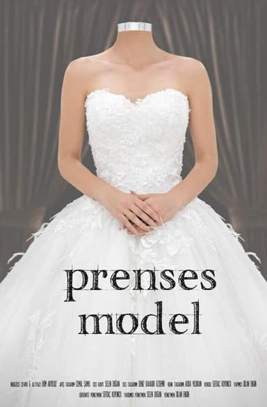 Princess Ball Gown poster
