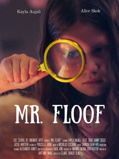 Mr. Floof poster