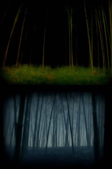 The Wandering Soul poster