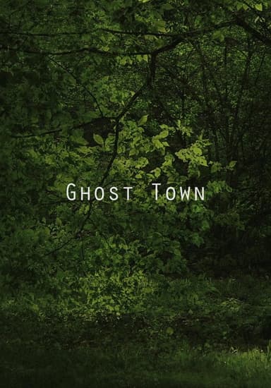 Ghost Town poster