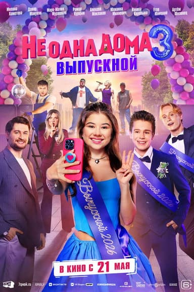Home Not Alone 3 poster