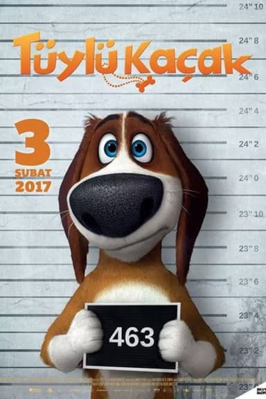 Run Ozzy Run poster