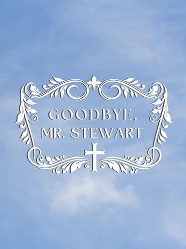 Goodbye, Mr. Stewart poster