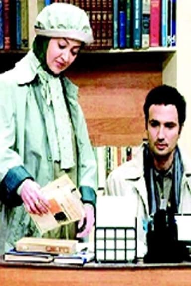 Petty Crimes of Husband and Wife poster