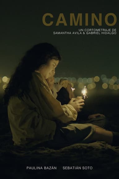 Camino poster