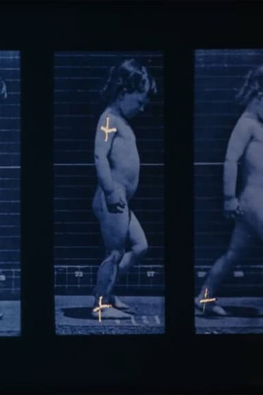 Muybridge poster