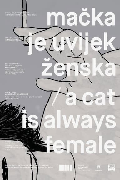 A Cat Is Always Female poster
