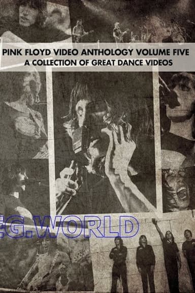 Pink Floyd:  Video Anthology Vol. 5 poster