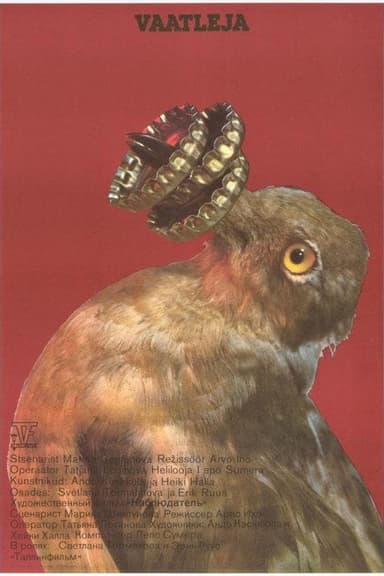 The Bird Watcher poster