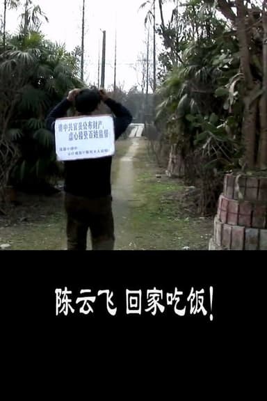 GO HOME, CHEN YUNFEI poster