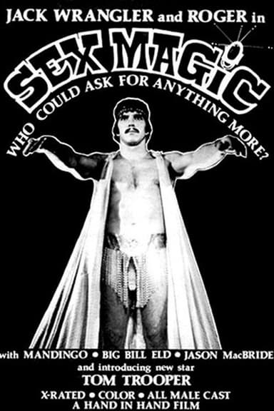 Sex Magic poster