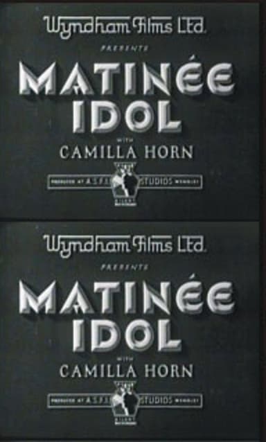 Matinee Idol poster