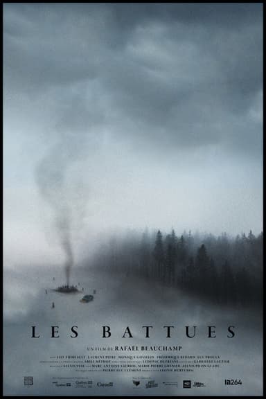The Fading poster