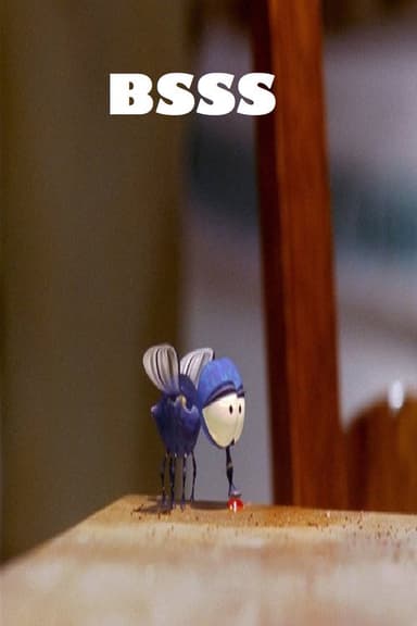 Bsss poster