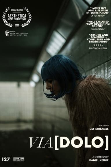 Via[Dolo] poster