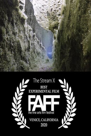The Stream X poster