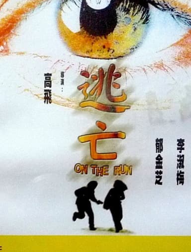 On the Run poster