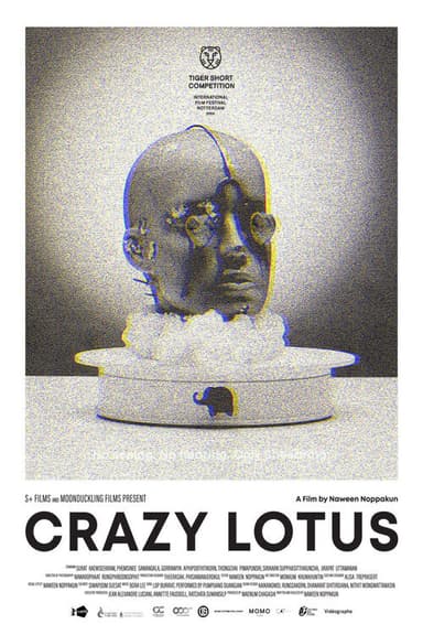 Crazy Lotus poster