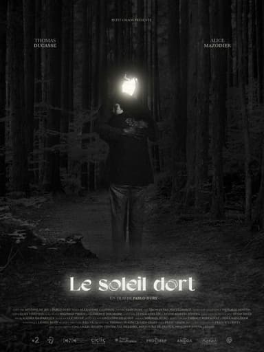 Where the Sun Sleeps poster