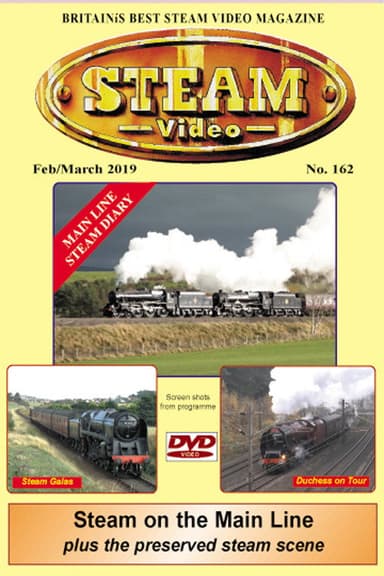 Steam Video 162 poster