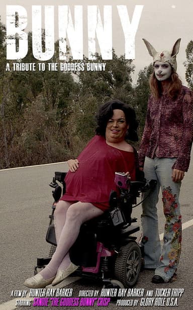 Bunny poster