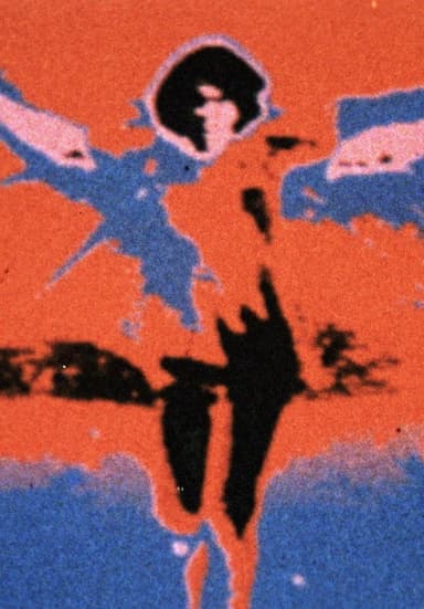 Fly poster