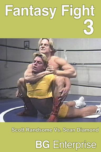 Fantasy Fight 3 poster
