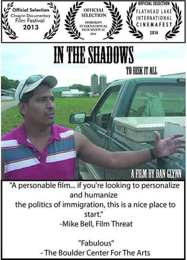 In the Shadows poster