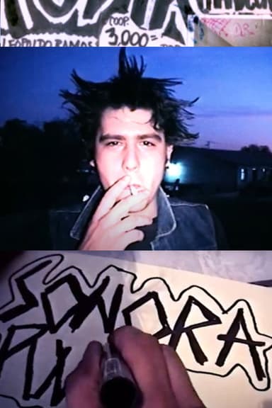 Sonora Punk poster