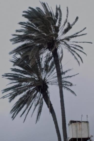 Landscape at Noon poster
