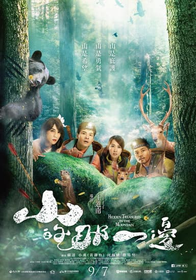 Hidden Treasures in the Mountain poster