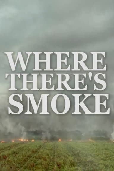 Where There’s Smoke poster