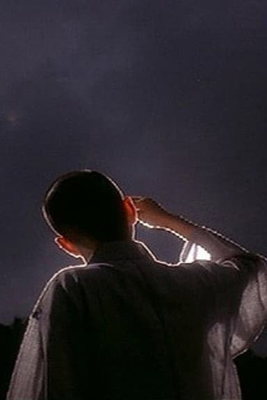 UFO: Unidentified Following Object poster