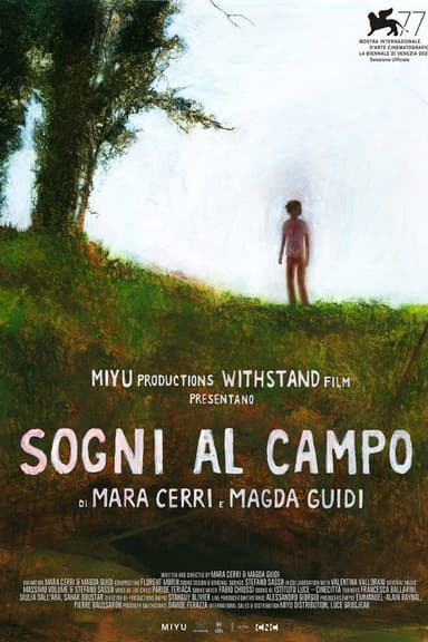 Dreams in the Field poster