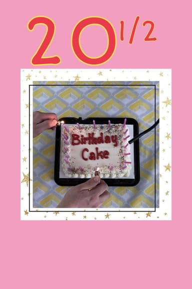 20 1/2 poster