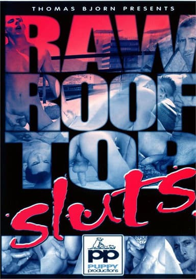 Raw Roof Top Sluts poster