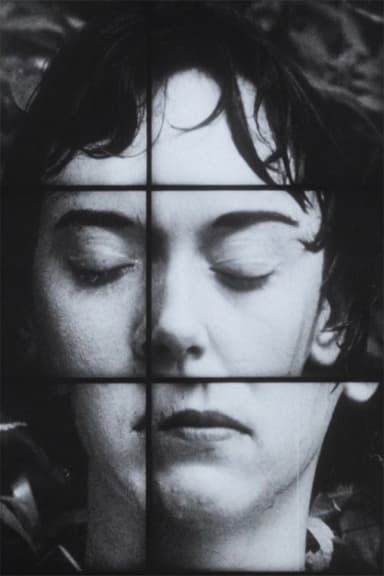 A Temporary Arrangement poster