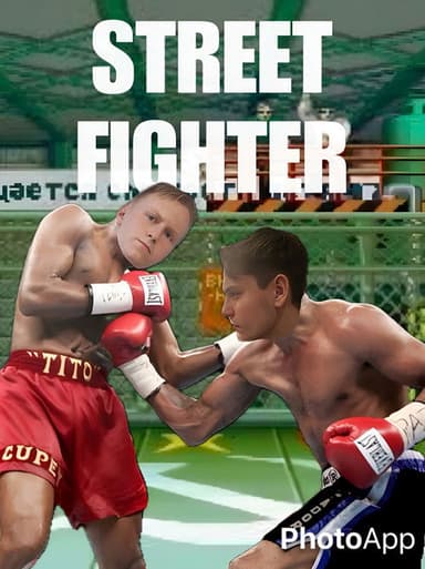 Street Fighter poster