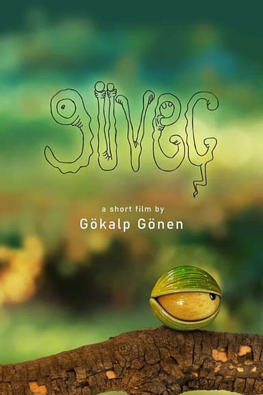 Güveç poster