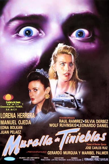 Wall of Darkness poster