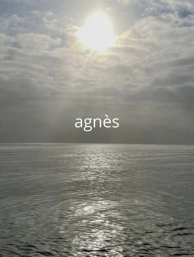 agnès poster