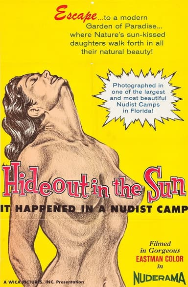 Hideout in the Sun poster