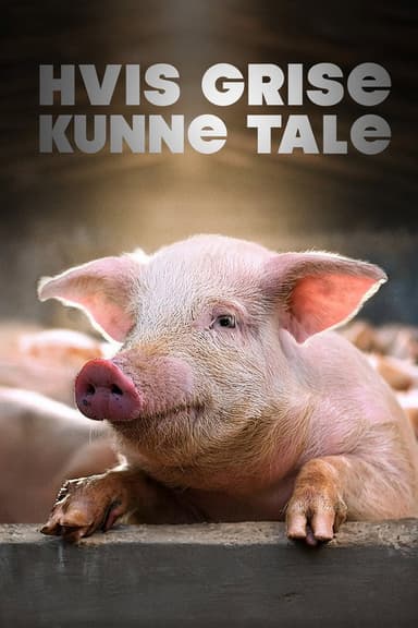 Hvis grise kunne tale poster